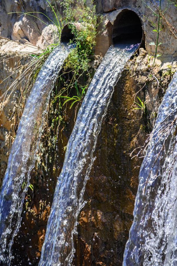 Remi Lodge Даллструм Экстерьер фото